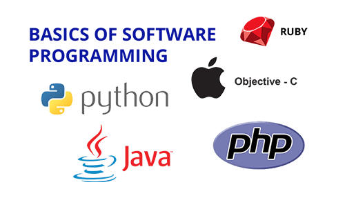 Basics of Software Programming Test